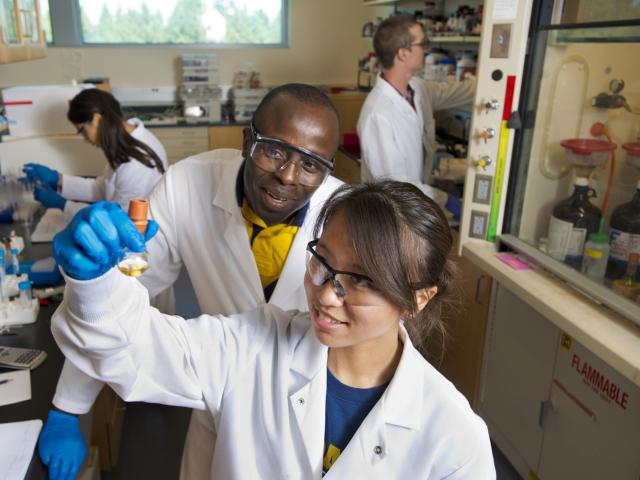 Explore our unique doctoral degree opportunities